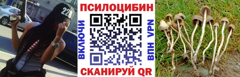 Псилоцибиновые грибы мухоморы  Заинск 